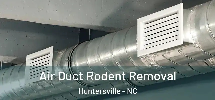 Air Duct Rodent Removal Huntersville - NC