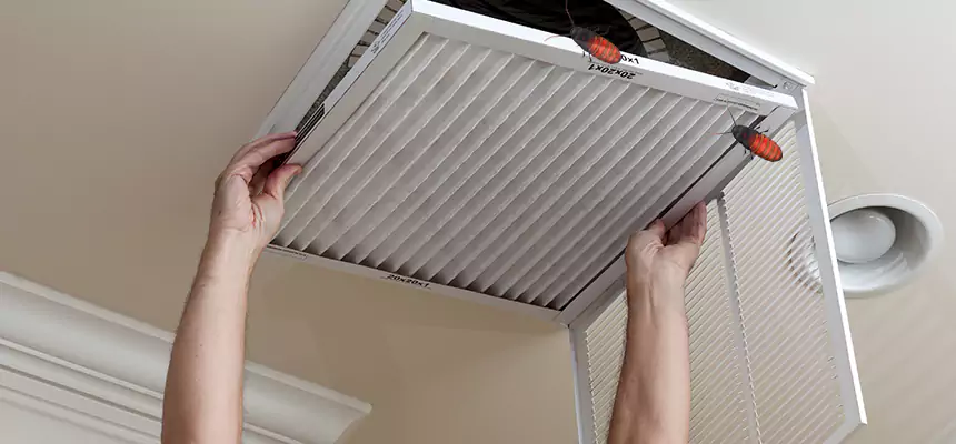 Preventive Cockroach-Proofing for Ducts in Huntersville