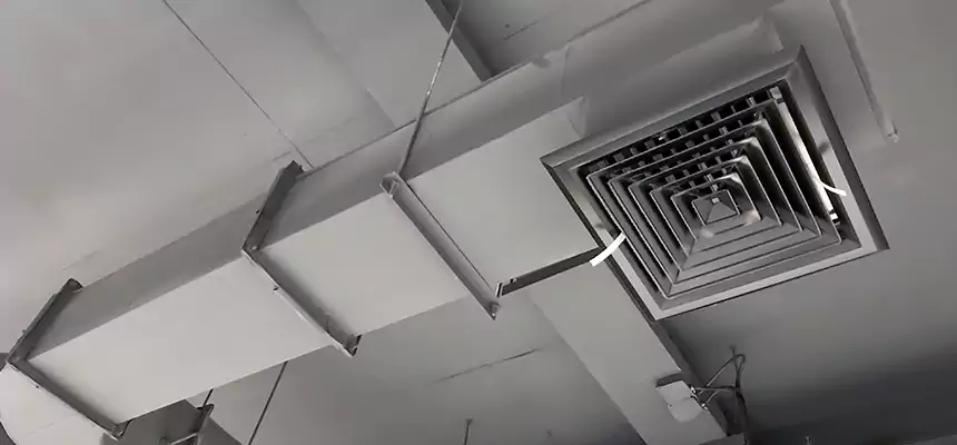 Our Pest Removal From Ducts Services in Huntersville, NC