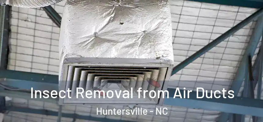 Insect Removal from Air Ducts Huntersville - NC