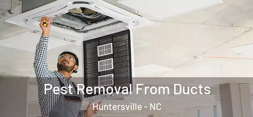  Pest Removal From Ducts Huntersville - NC