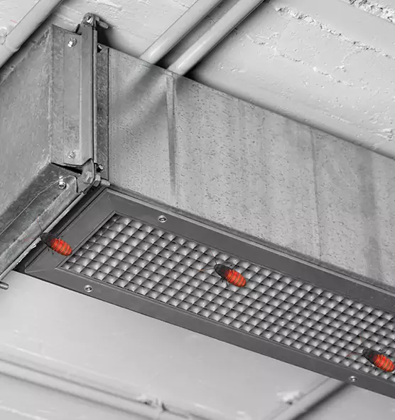 About Air Duct Cockroach Removal in Huntersville, NC