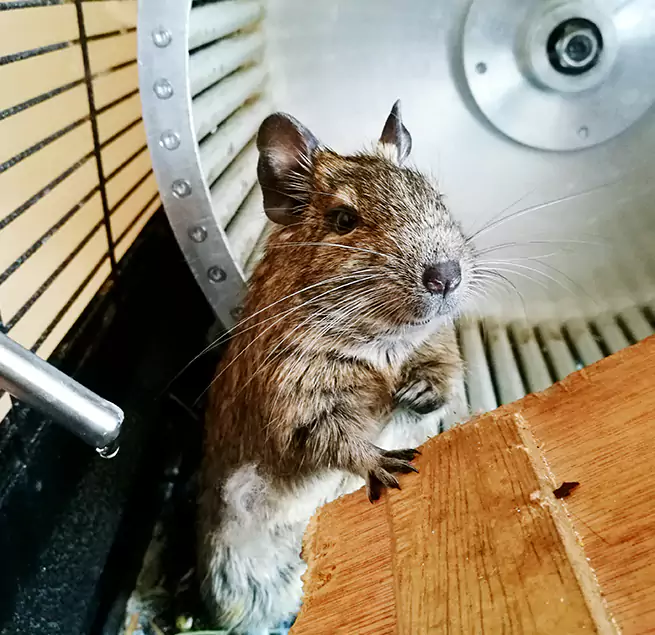 Why Homeowners & Businesses Trust Us Huntersville, NC